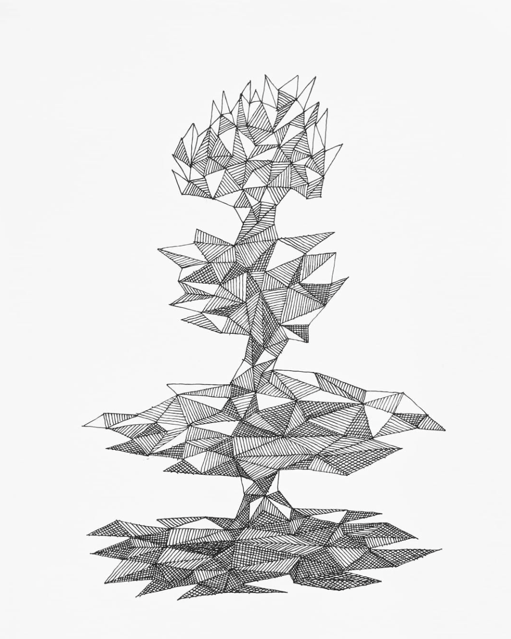 Rectilinear 12
